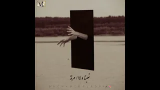 حالات واتس علي الالفي بشوفك معايا ولو مش معايا Ali Al Alfy 