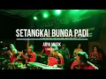 Setangkai bunga Padi VOC : Anie anjanie