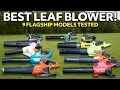 Best Leaf Blower Milwaukee DeWalt Ryobi Stihl EGO