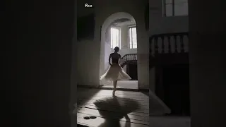 وقالوا عنيده وقويه مبياثرش شيء فيها اليسا حالات واتس اب ستوري انستا 