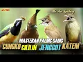 Lagu CUNGKO - KAPAS TEMBAK - CILILIN - CUCAK JENGGOT | MASTERAN KOMBINASI ISTIMEWA