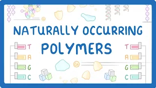 GCSE Chemistry - Naturally Occurring Polymers - Polypeptides, DNA, and Carbohydrates