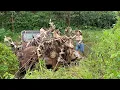 Download Lagu Genius Girl Restores Abandoned American Jeep After Flash Flood - Restoring US Army Jeep