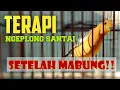 Download Lagu PANCINGAN ANIS MERAH SETELAH MABUNG - ANIS MERAH NGEPLONG SANTAI