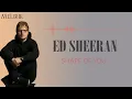 Download Lagu SHAPE OF YOU - ED SHEERAN LYRIC (LIRIK TERJEMAHAN)