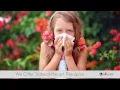 Air Care - Pollen Allergy Relief Plano TX