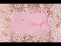 Haico - Bahagia Bersamamu♬ (Lyrics)