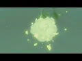 Korok Seed 823 Hebra West Summit The Legend of Zelda Tears of the Kingdom NS