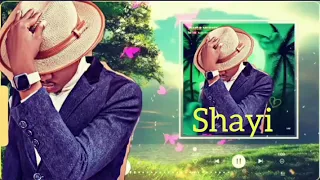 dan musa shayii official audio 2023 arewa hausa music