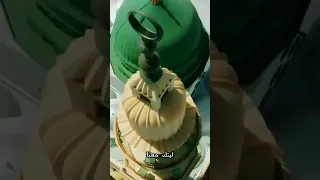 ليتك معنا بدون موسيقى اداء ملاك فتحي Malak Fathi Arabic Nasheed مقاطع Shortvdeo ترند 