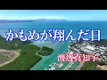 かもめが翔んだ日 / 渡辺真知子 (歌詞入り)