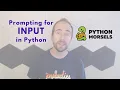 Prompting a user for input in Python