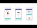 What is Quizlet