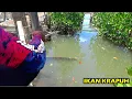 Download Lagu Mancing Ikan Krapuh Di Waktu Air Laut Pasang