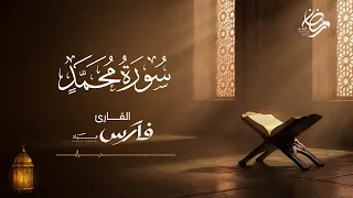 سورة محمد بصوت الشيخ فارس عباد   ختمة رمضان                دندنها
