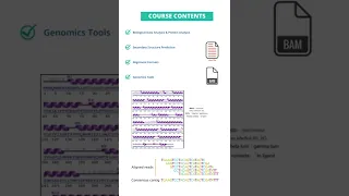 Fundamental Bioinformatician Course in R