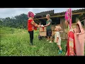 Download Lagu The mother and son went to buy more male pigs to breed the female pig.