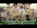 Bowie Texas Livestock March 8th Loose Horses