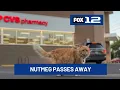 Beloved Portland cat Nutmeg dies at 19