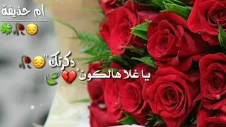 ذكرتك يا غلا هالكون     اناشيد اسلامية حزينة دندنها