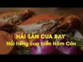 Lagu Hải Sản Cua Bay 44 Đỗ Quang – Cua biển Năm Căn Cà Mau tươi sạch, bay ngay trong ngày | PasGo Hà Nội