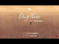 [Vietsub + Pinyin] Đồng thoại - Quang Lương | 童话 (Tong Hua) - 光良 | Fairy Tale - Michael Wong ♪