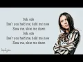 Alan Walker \u0026 Georgia Ku - Don't You Hold Me Down (Lyrics)