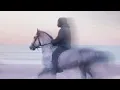 Swedish House Mafia Niki & The Dove - Lioness (Extended Old Mix)
