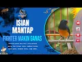 Download Lagu SUARA MURAI BATU FULL ISIAN GACOR MANTAP PANJANG TEMBAKAN