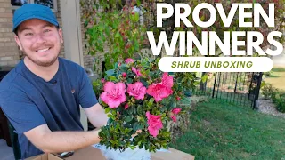 New Proven Winners Shrub Delivery Unbox Them With Me The Southerner s Northern Garden