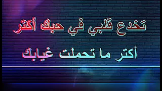 كاريوكي هاني شاكر لو بتحب دندنها