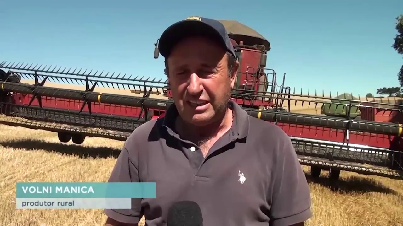 Prejuízo na lavoura: Agricultores de Campos Novos sofrem com a estiagem