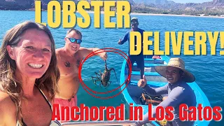 Lobster Dinner & Flop Stoppers!  🦞 Making Friends at Los Gatos Anchorage in Baja Mexico