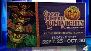 LumiNights tickets winner announced