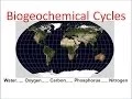 Biogeochemical Cycles honors biology updated