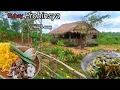 Download Lagu Finally found WILD MUSHROOM in the forest | Ilocano's  favorite dish | Biag ti away by Balong