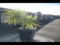 Manfeild Park Motel - Feilding