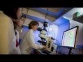 Kimberly Cooper Biological Sciences at UC San Diego