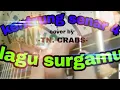 Lagu #Surgamu cover kentrung senar 4 cord lagu (SURGAMU)