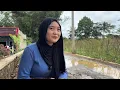 Download Lagu BIKIN TERPESONA‼️NENG CECEU PERAWAN DESA CANTIK MASIH SINGLE MENUNGGU LAKI2 YANG SERIUS