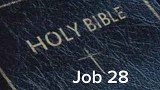 Job 28 NIV The Bible