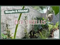 DIY Garden Trellis Inexpensive Easy Privacy Trellis