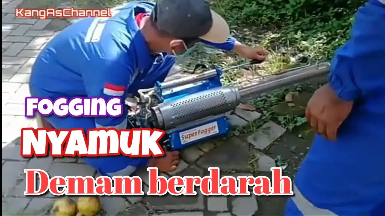 fogging nyamuk demam berdarah. fogging nyamuk demam berdarah.