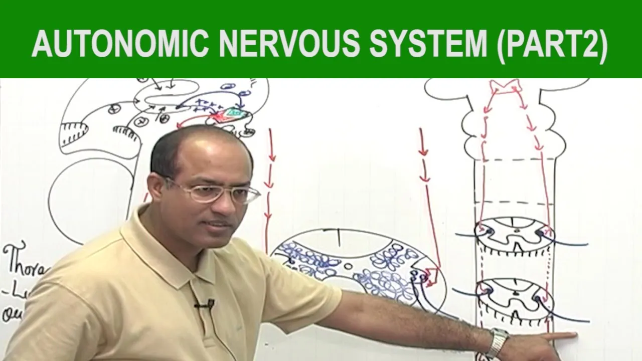 Autonomic Nervous System | Neurology | Neuroanatomy | Part 2🧠