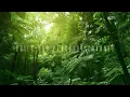 Download Lagu Suara Alam Burung Berkicau | Lantunan Piano Untuk Relaksasi Pengantar Tidur #naturesounds #relaxing