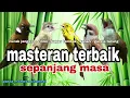 Download Lagu Masteran Murai batu Terbaik‼️Kapas tembak | Cililin | Cucak jenggot | Kenari | Gereja tarung‼️