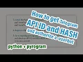 How to get API ID and HASH and authorize a Telegram userbot Python Pyrogram userbot