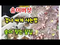 Download Lagu 송이 알고사면 득탬, 모르고사면 호구 됩니다  / 송이 자생지 쉽게찾는법 (보면 전문가 됩니다) /구입문의: 010, 3543, 7773 /054, 552, 3314 / #송이시세