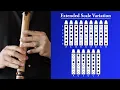 Extended Variation Scale for the Native American Flute