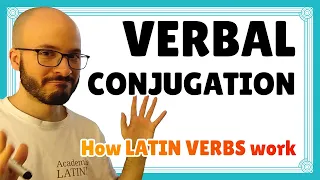 Latin CONJUGATION verb stems
